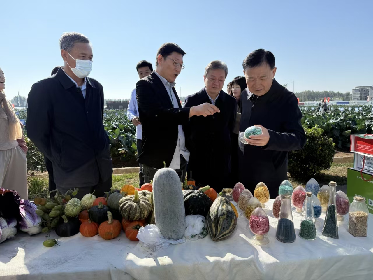 1730360231521.jpg a2.jpg