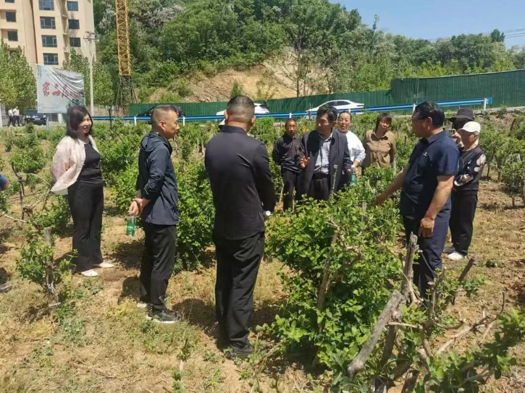 1747280546824.jpg 微信图片_20250515114058.jpg