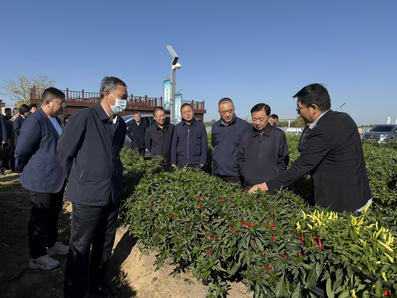 1730360219693.jpg a1.jpg